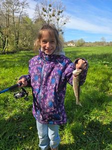 Rainbow Trout