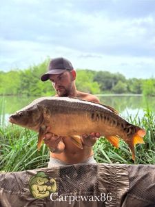 Leather Carp