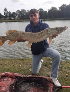 Northern Pike