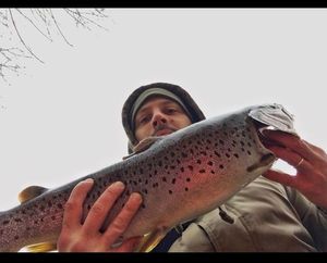 Lake Trout