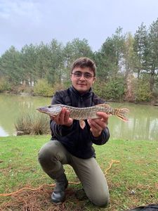 Northern Pike