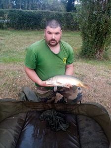 Common Carp