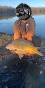 Leather Carp