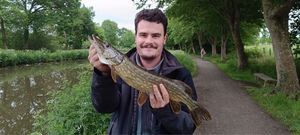 Northern Pike
