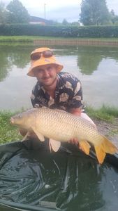 Common Carp