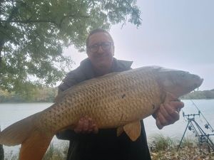 Common Carp