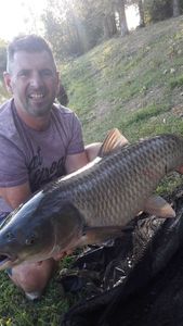 Grass Carp
