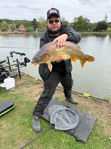 Common Carp