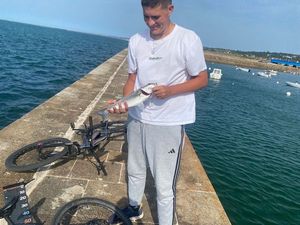 European Bass (Seabass)