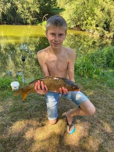 Crucian Carp
