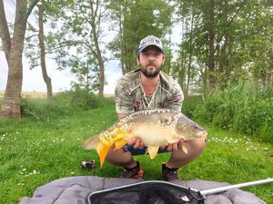 Mirror Carp