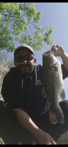 Smallmouth Bass