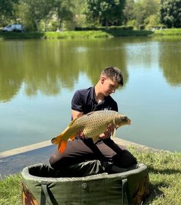 Common Carp