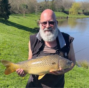 Common Carp