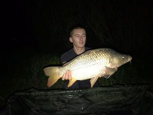 Common Carp