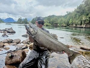 Chinook Salmon