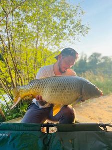 Common Carp