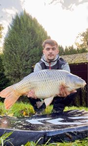 Common Carp