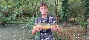 Mirror Carp