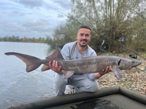 Sturgeon