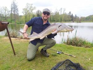 Sturgeon