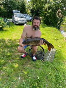 Common Carp
