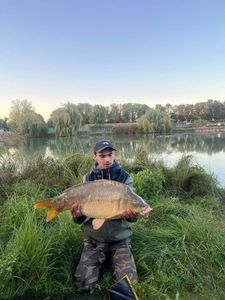 Mirror Carp