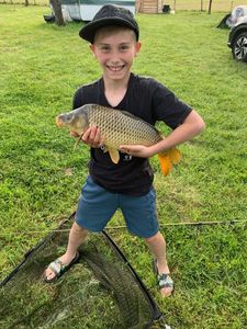 Common Carp