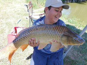 Common Carp