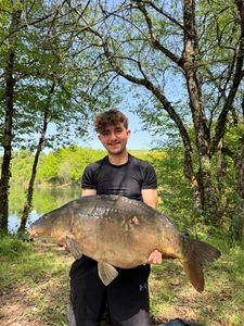 Mirror Carp