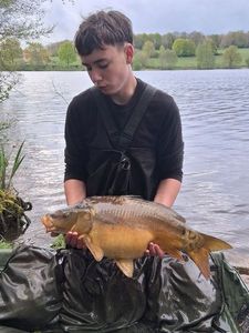 Mirror Carp