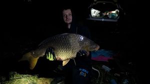 Common Carp