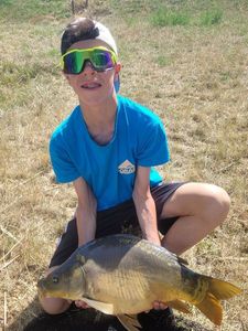 Mirror Carp