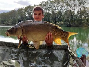 Mirror Carp