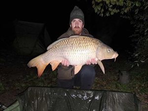 Common Carp