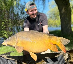 Leather Carp