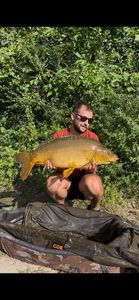 Mirror Carp