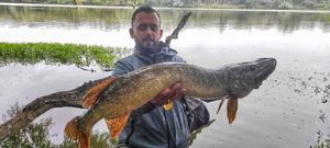 Northern Pike