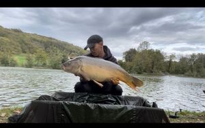 Mirror Carp