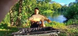 Mirror Carp