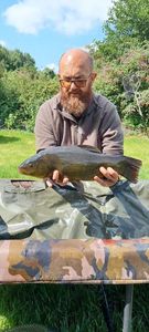 Tench