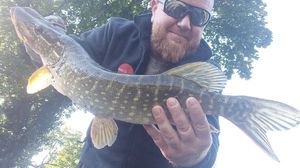 Northern Pike
