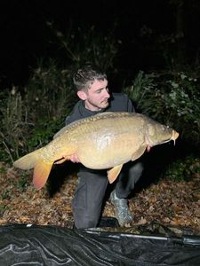Mirror Carp