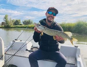 Northern Pike
