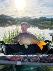 Mirror Carp
