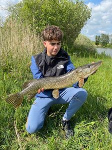 Northern Pike