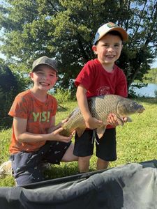 Common Carp