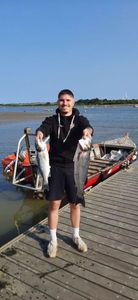 European Bass (Seabass)
