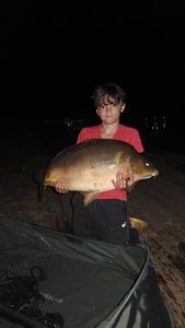 Mirror Carp