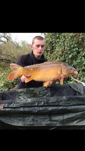 Common Carp